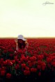 /album/%e7%9b%b8%e5%86%8c/a12618937542760-jpg/