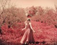 /album/%e7%9b%b8%e5%86%8c/a12631788479072-jpg/